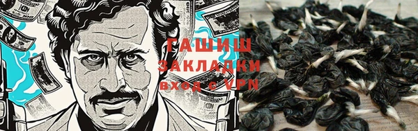 Альфа ПВП Ладушкин