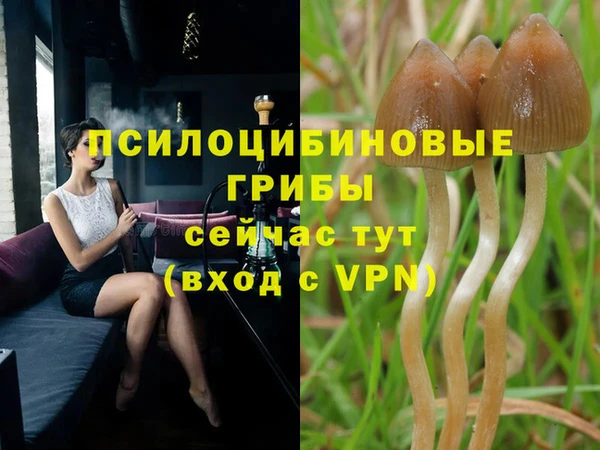 каннабис Лабытнанги