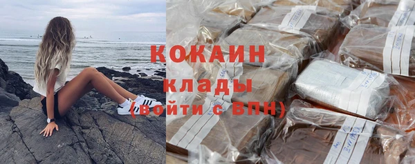 прущие грибы Лиски
